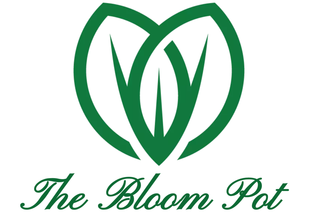 Red Star Jasmine Leaves Causes & Solutions