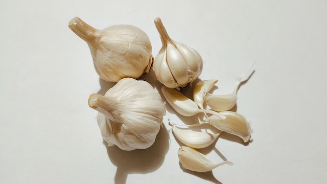 elephant garlic plant and grow in December