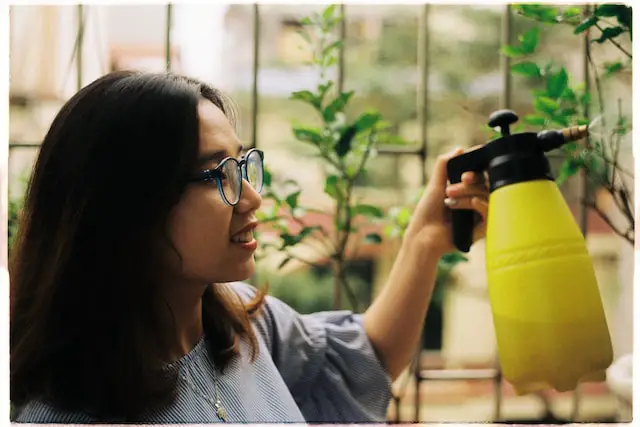 making anti-mold spray at home for plants